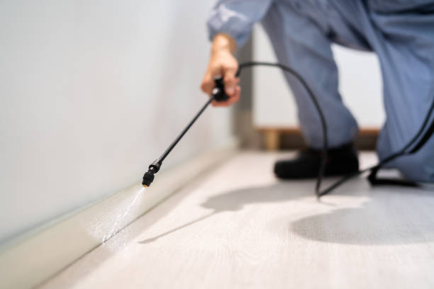 Licensed Termite Control service in Springhill, LA - Nex Pest Control