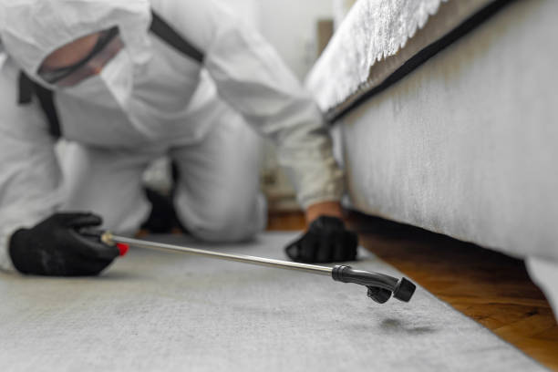 Professional Termite Control technician working in Springhill, LA