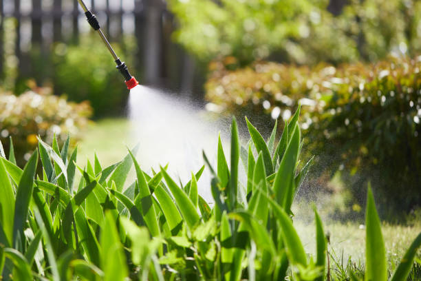 24/7 Emergency Termite Control experts in Springhill, LA