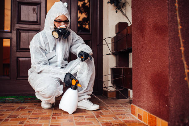 Reliable Termite Control contractor in Springhill, LA by Nex Pest Control