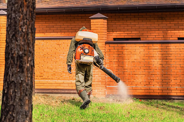 Top rated local Termite Control specialists in Springhill, LA